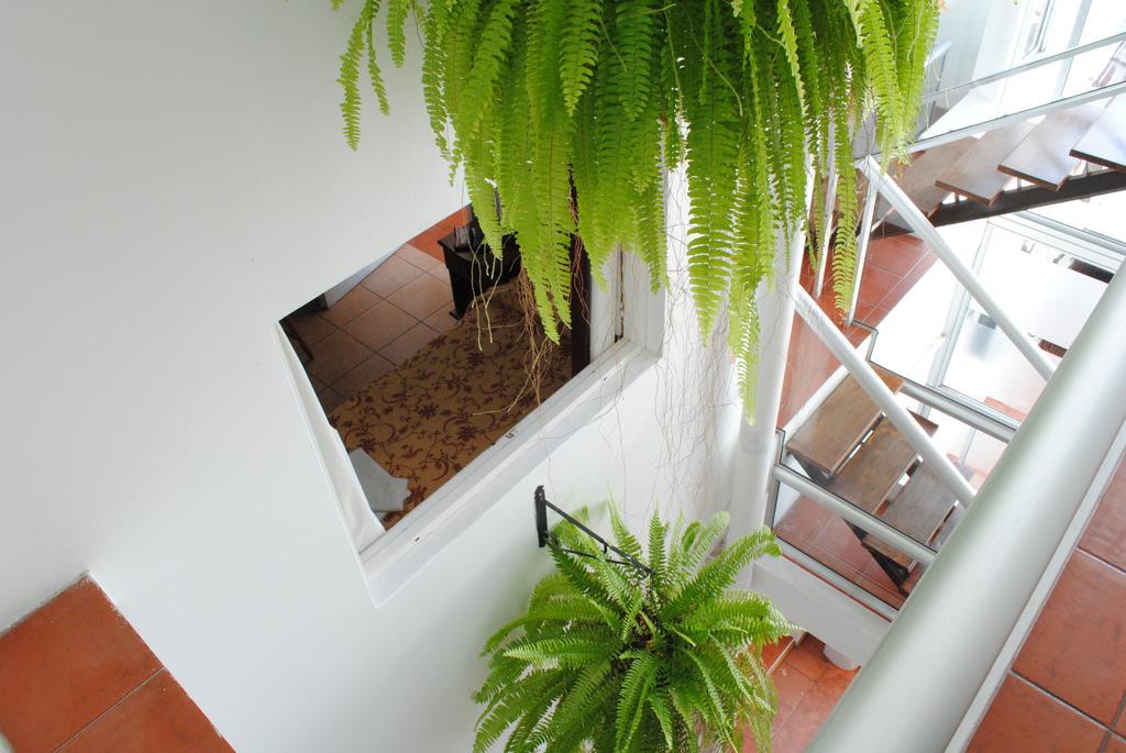 Hotel Romi Colonia del Sacramento Extérieur photo