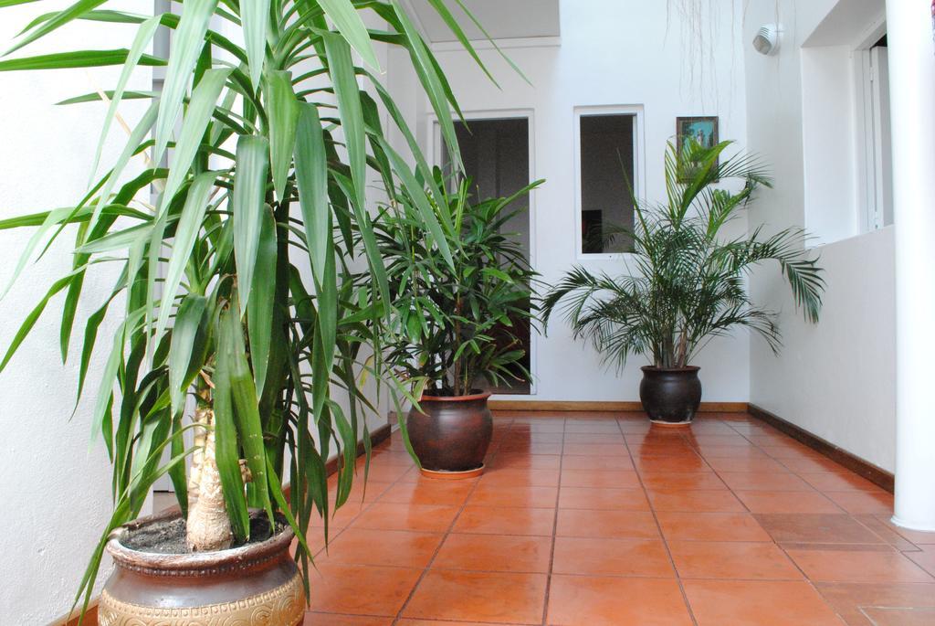 Hotel Romi Colonia del Sacramento Extérieur photo